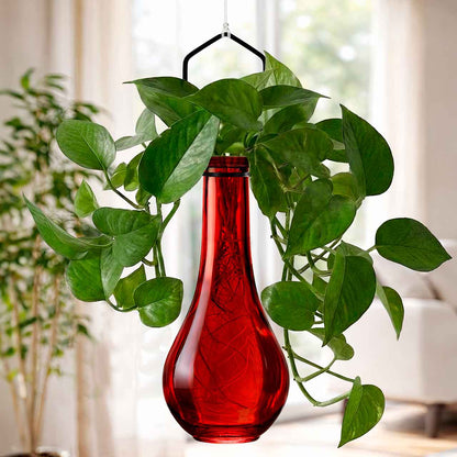 Hanging Propagation Vase