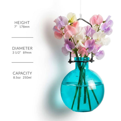 Hanging Propagation Vase