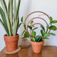 Wood Triple Hoop Indoor Plant Trellis: Decorative Support for Climbing Houseplants