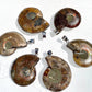 Ammonite Pendant Healing Crystal Energy