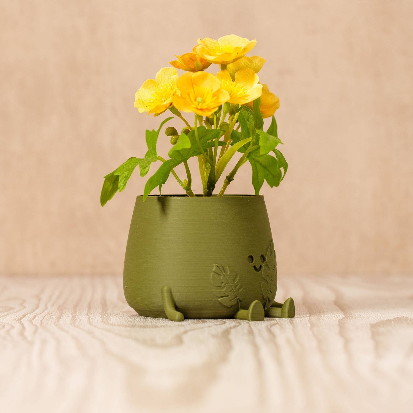 Happy Pot Planter Faces