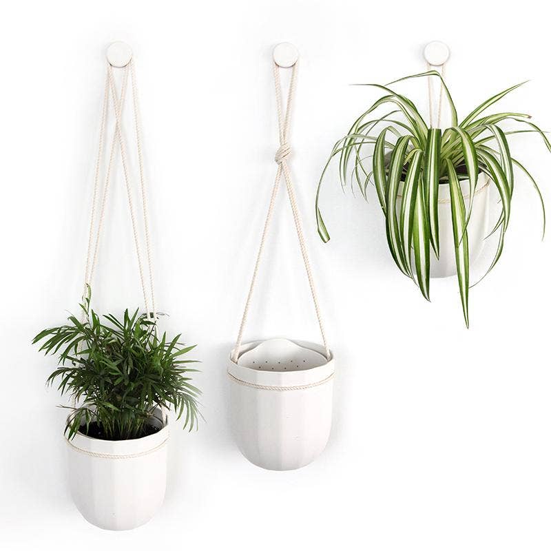 loop plant hanger Loop Hanging Planter – Botanica