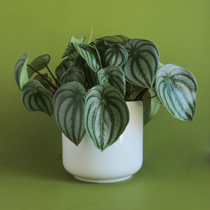 Charlie Pot