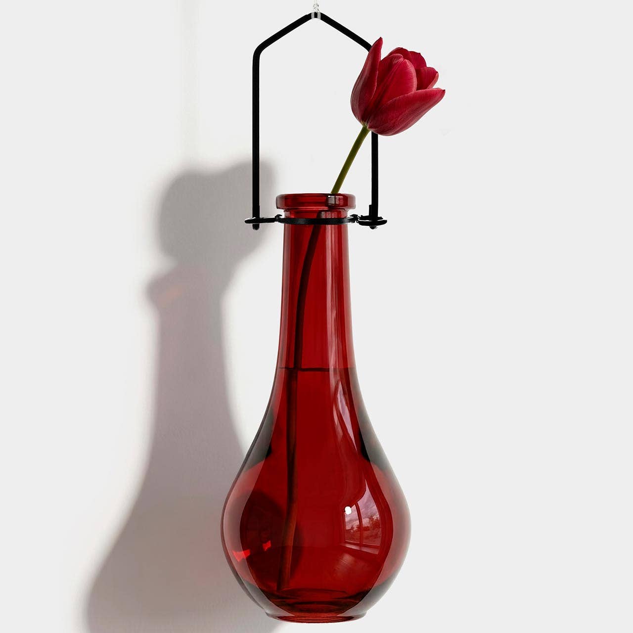 Hanging Propagation Vase