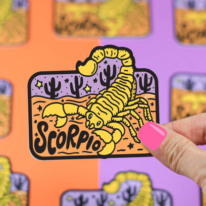 Zodiac Astrology Horoscope Vinyl Stickers Featuring All 12 Star Sign Symbols and Names