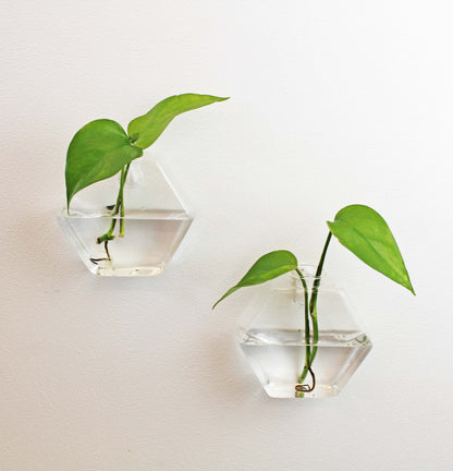 Wall vase Ivy