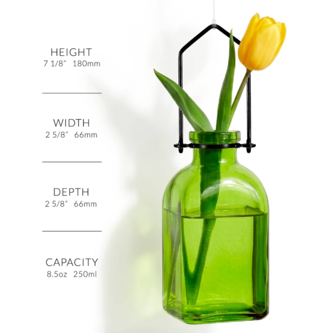 Hanging Propagation Vase