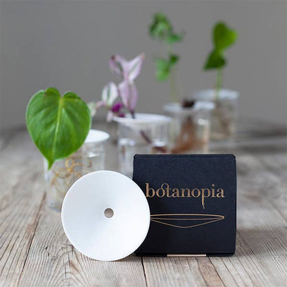 Porcelain Germination & Propagation Plate