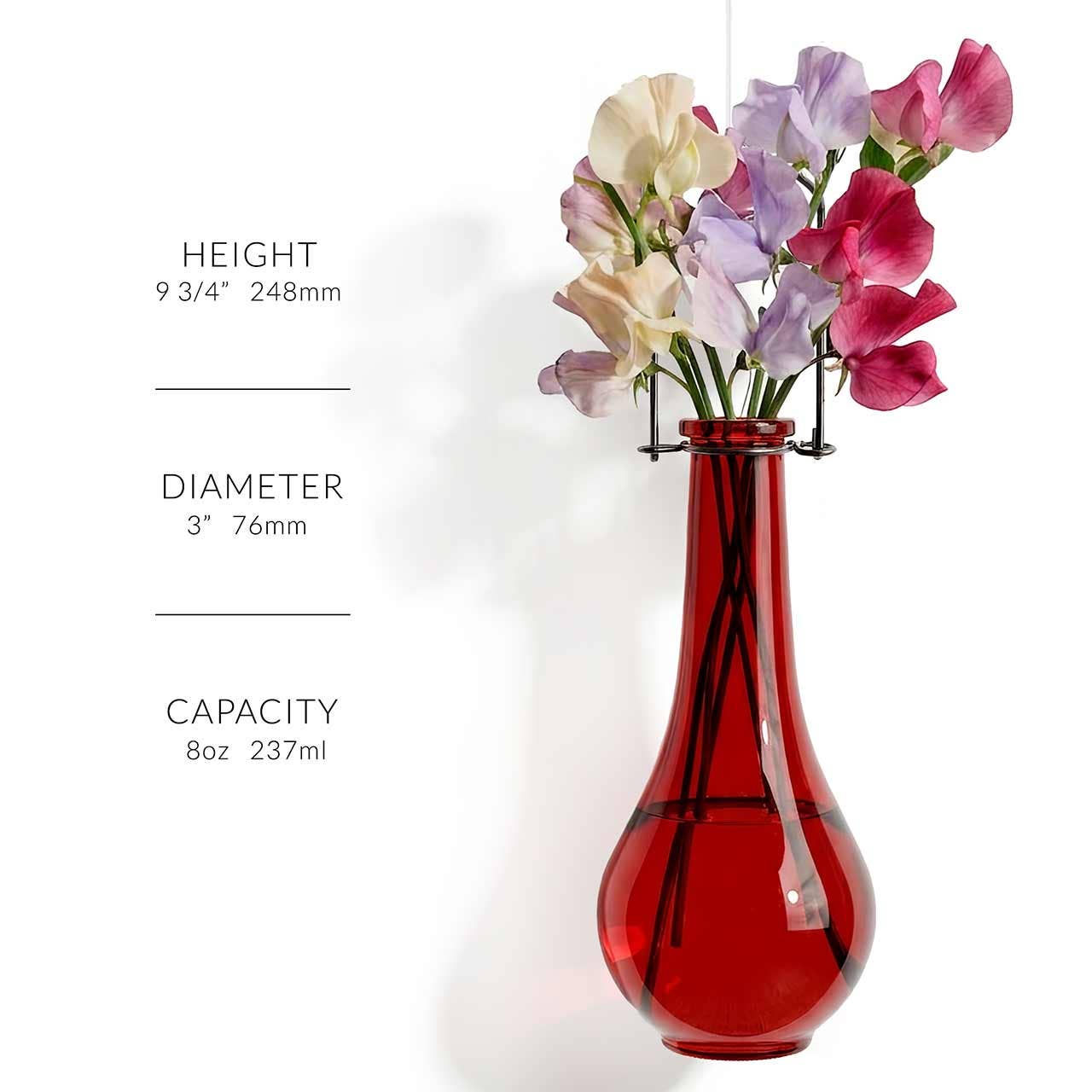 Hanging Propagation Vase