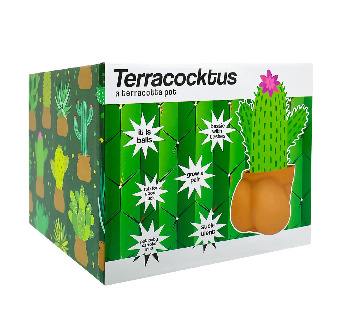 Terracocktus Terracotta Pot