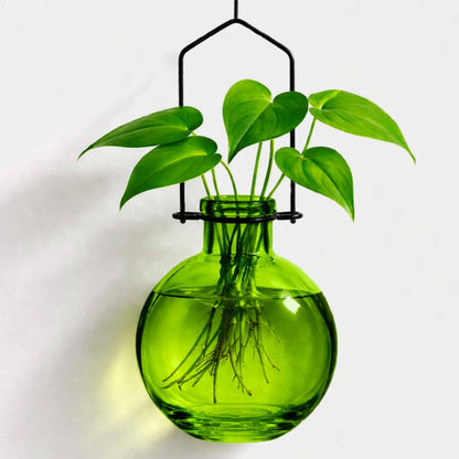 Hanging Propagation Vase