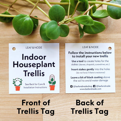 Wood Triple Hoop Indoor Plant Trellis: Decorative Support for Climbing Houseplants