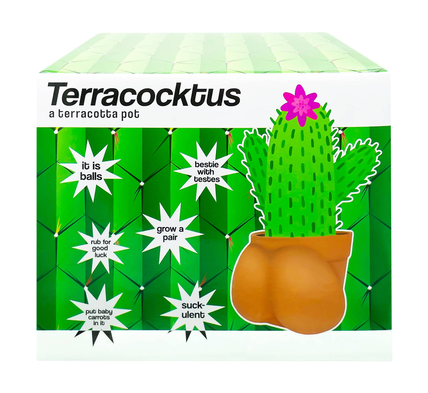 Terracocktus Terracotta Pot