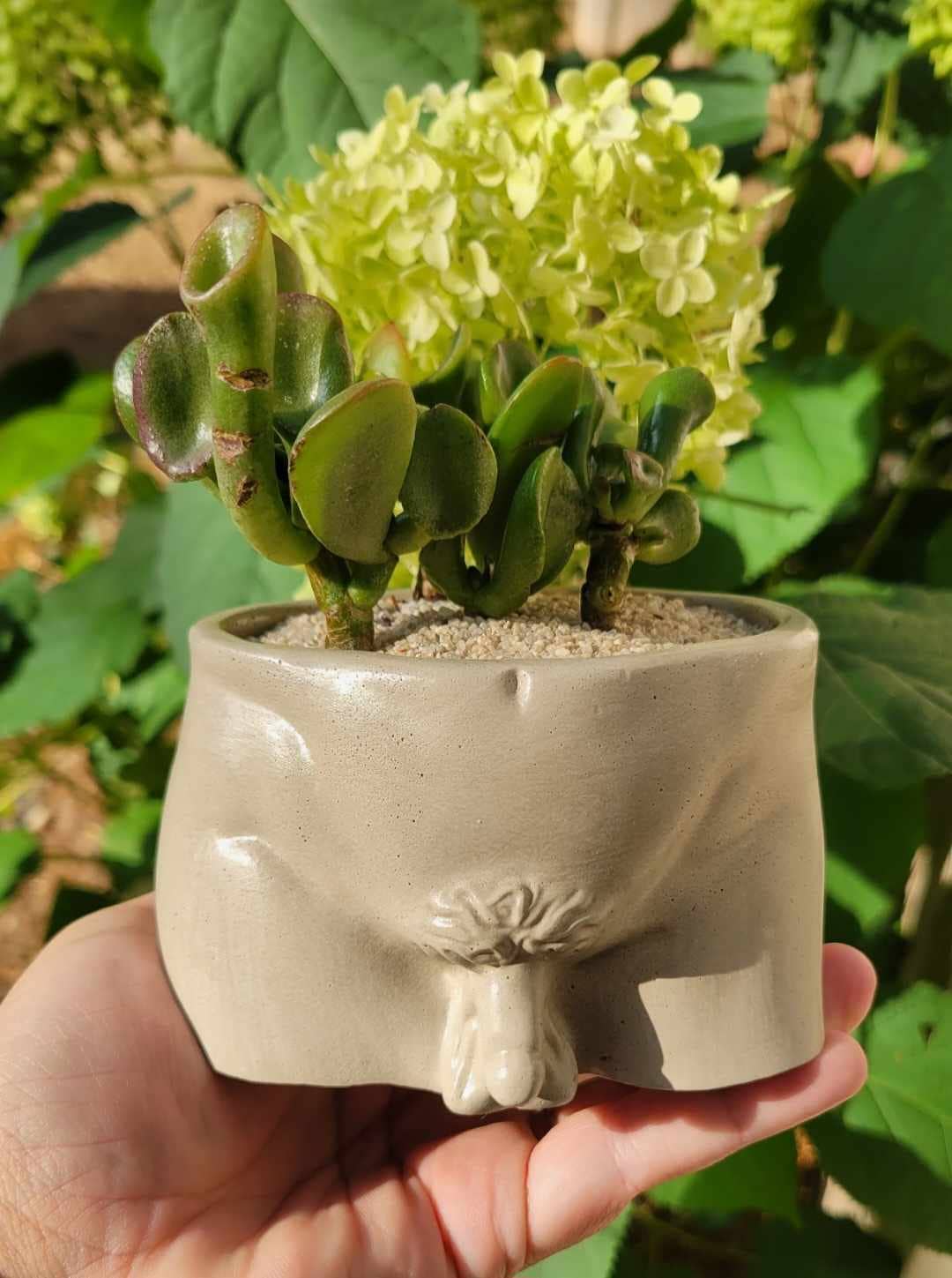 Penis Pot | Flower pot | Planter | Funny Pot | Peen Pot