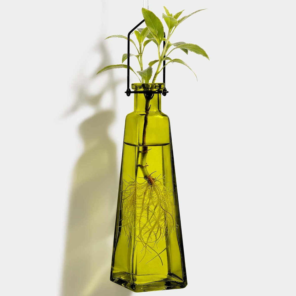 Hanging Propagation Vase