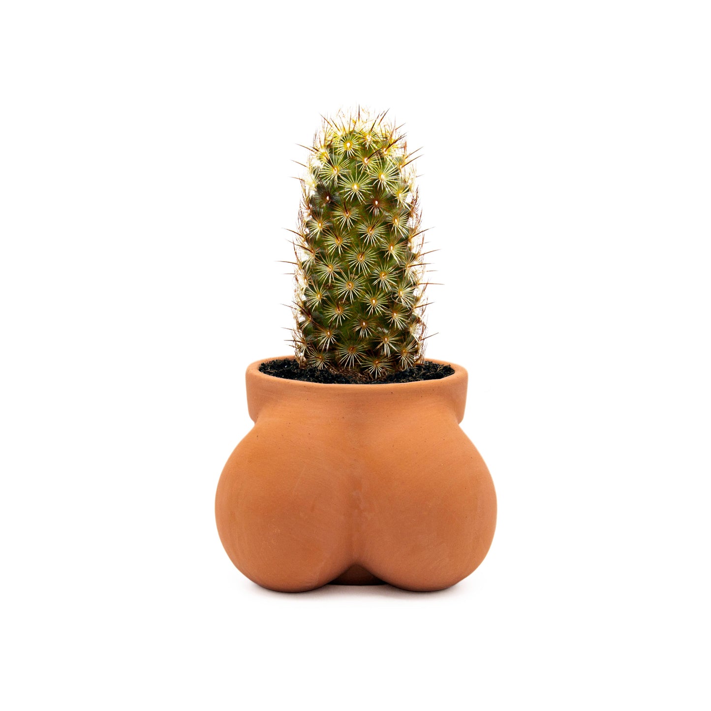 Terracocktus Terracotta Pot