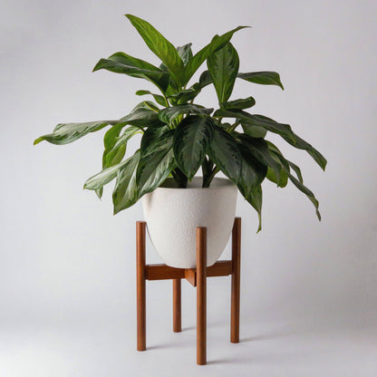 Adjustable Dark Bamboo Plant Stand