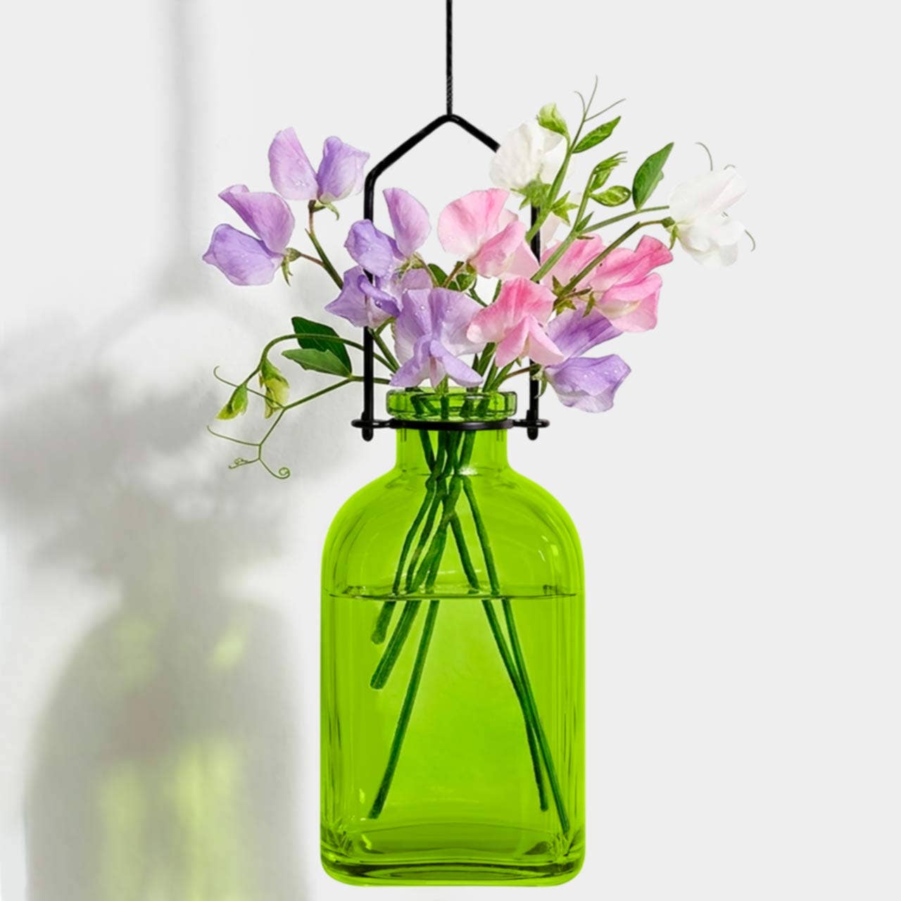 Hanging Propagation Vase