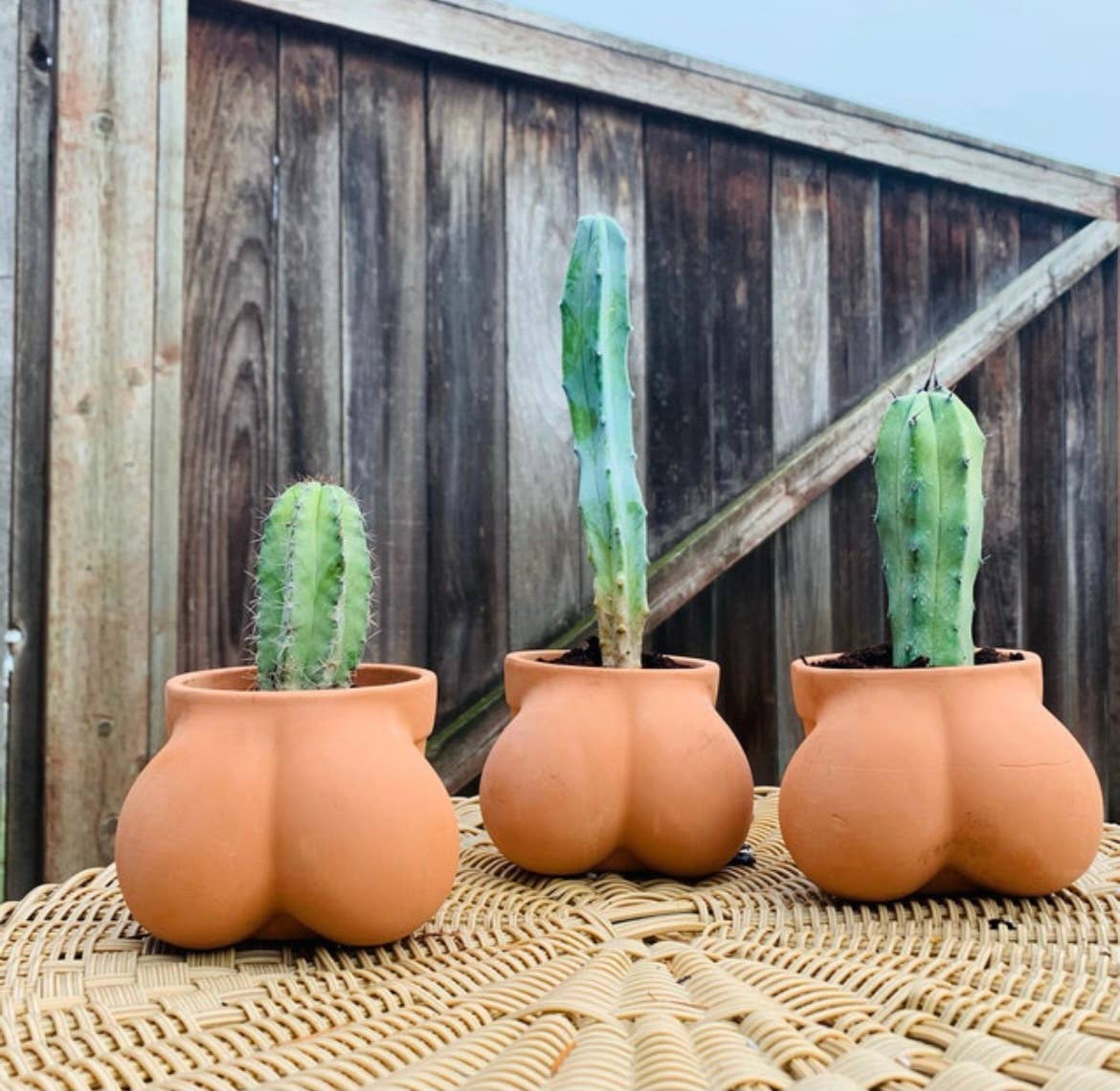 Terracocktus Terracotta Pot