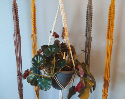 Classic Macrame Plant Hanger - Various Colors Available