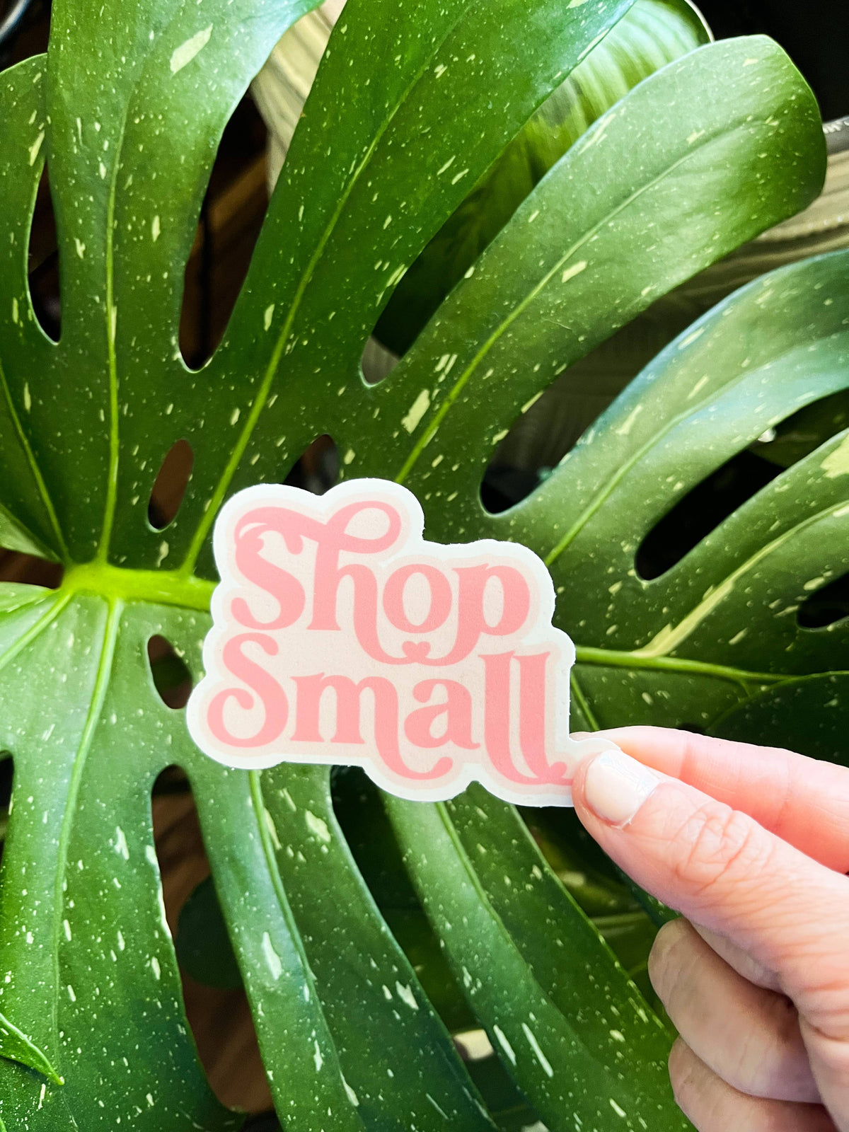 Shop Small Sticker Shop Small Sticker – Botanica