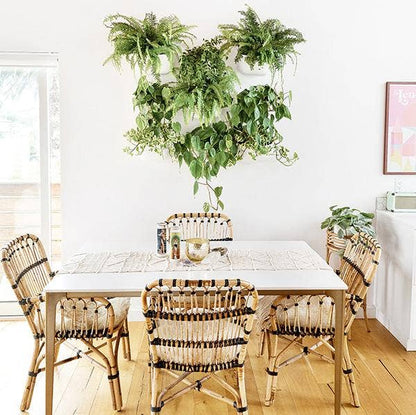 Eco Wall Planter
