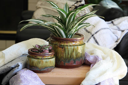 Jewel Self-Watering Planter - Perfect for Any Indoor Garden or Home Decor