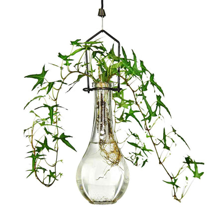 Hanging Propagation Vase