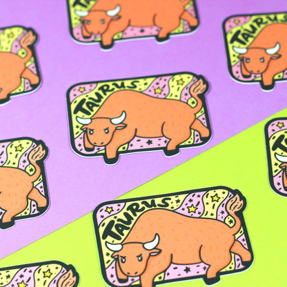 Zodiac Astrology Horoscope Vinyl Stickers Featuring All 12 Star Sign Symbols and Names