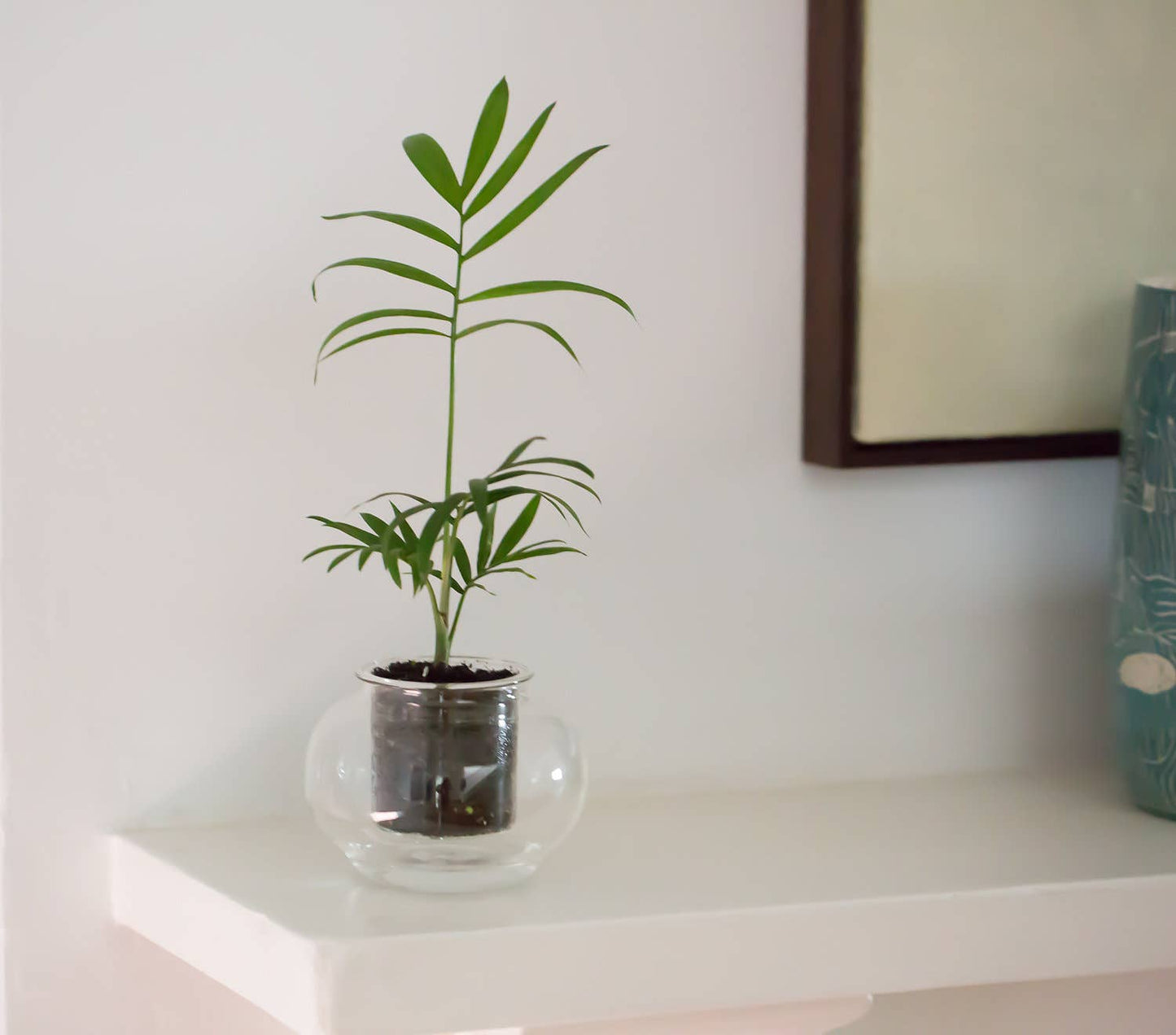 Small Self-watering Planter