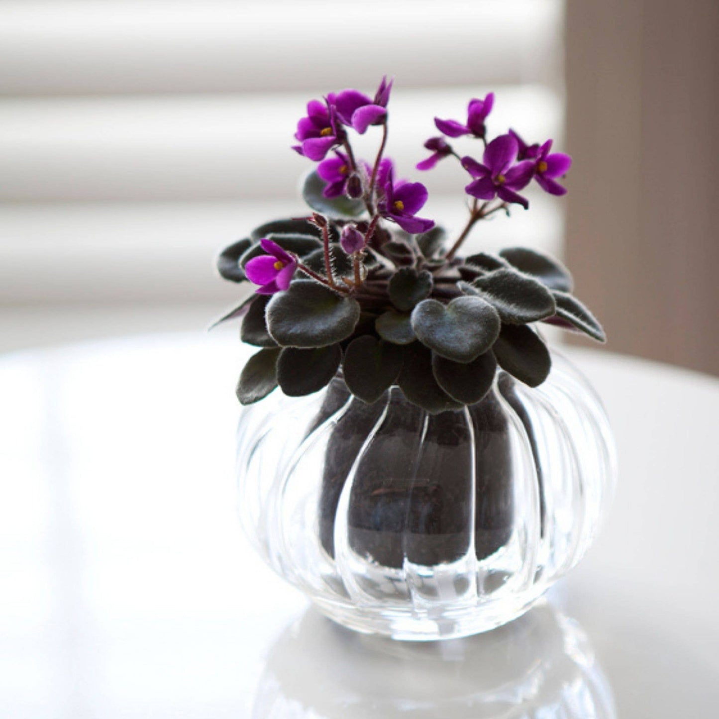 Small Ribbed Self-watering Planter