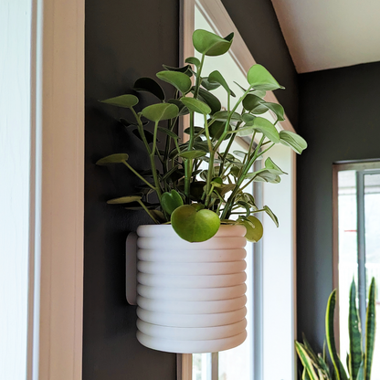 Wall mounted 4"