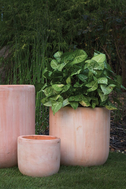 Lerato Terra Cotta