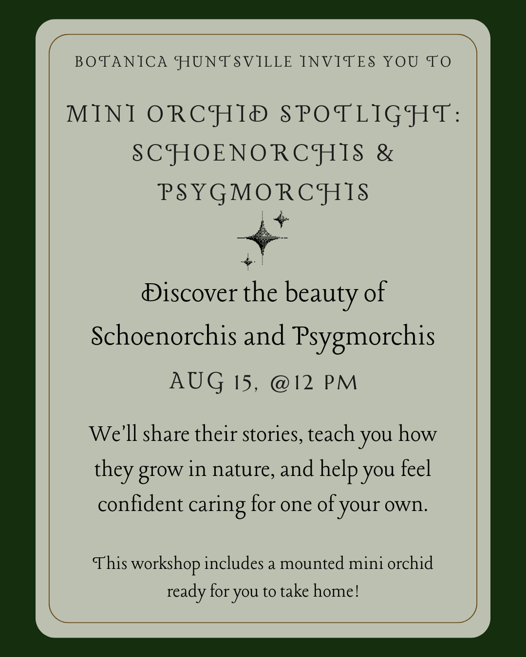 Mini Orchid Spotlight: Schoenorchis & Psygmorchis, Aug 15