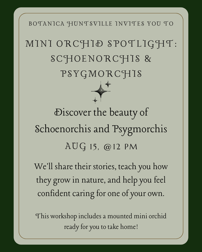 Mini Orchid Spotlight: Schoenorchis & Psygmorchis, Aug 15