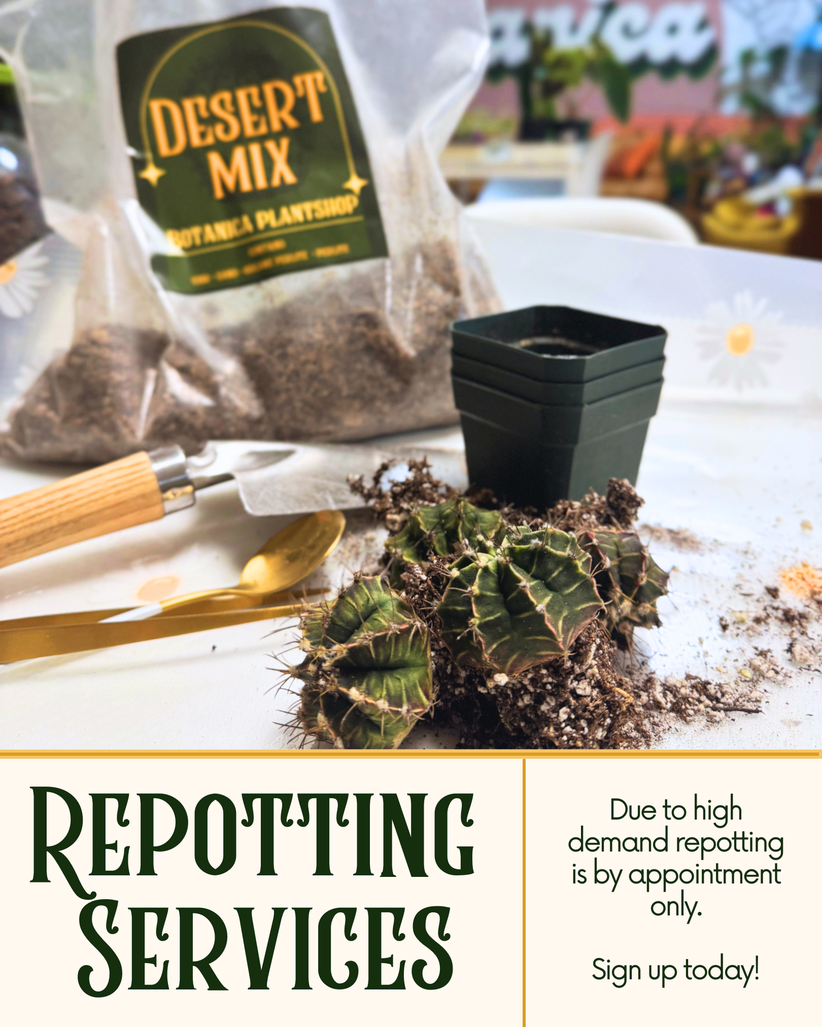 house plant service near me Repotting Service Deposit – Botanica