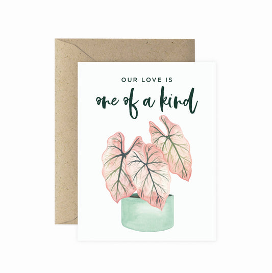 One of a Kind  | Love Greeting Card