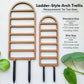 Ladder-Style Arch Trellis - for Indoor Plants