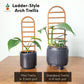 Ladder-Style Arch Trellis - for Indoor Plants