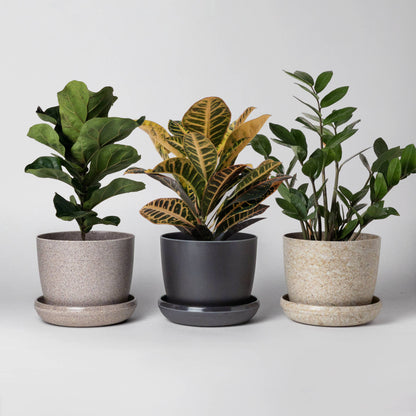 Kanso Planter + Saucer 3-7"