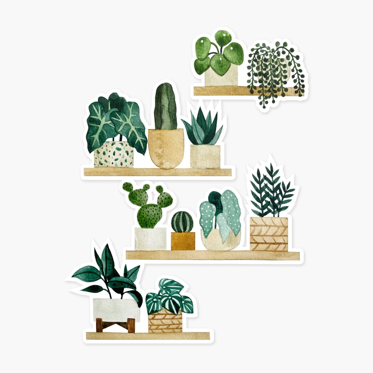 Plant Shelf Clear Sticker Paper Anchor