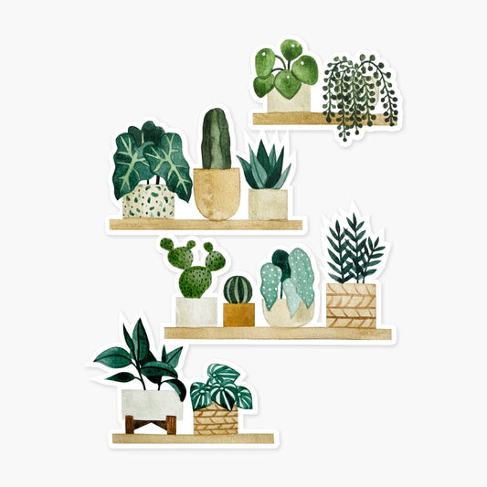 Plant Shelf Clear Sticker Paper Anchor