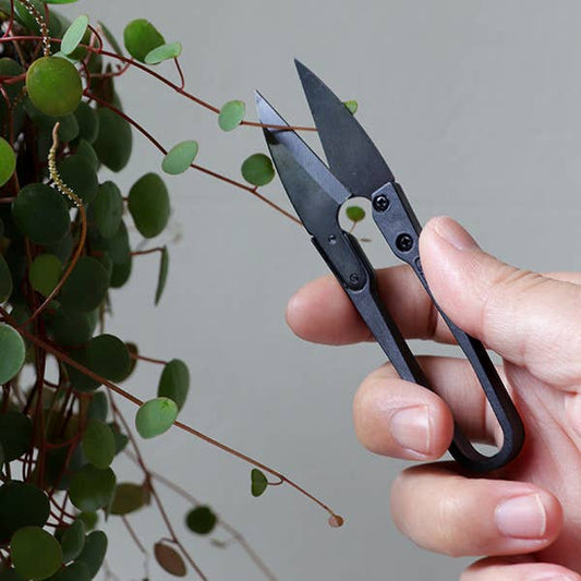 Snips - Bonsai pruning shears