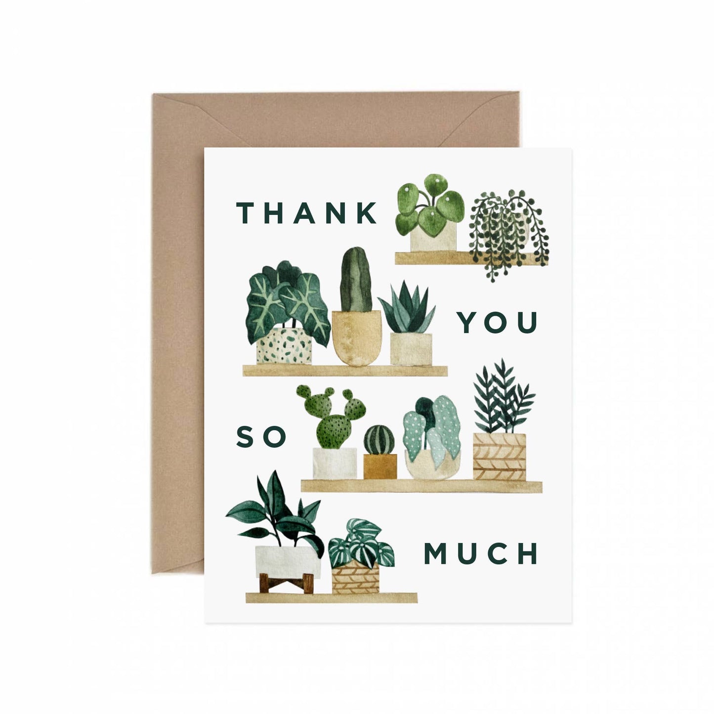 Thank You Card (plant shelfie)