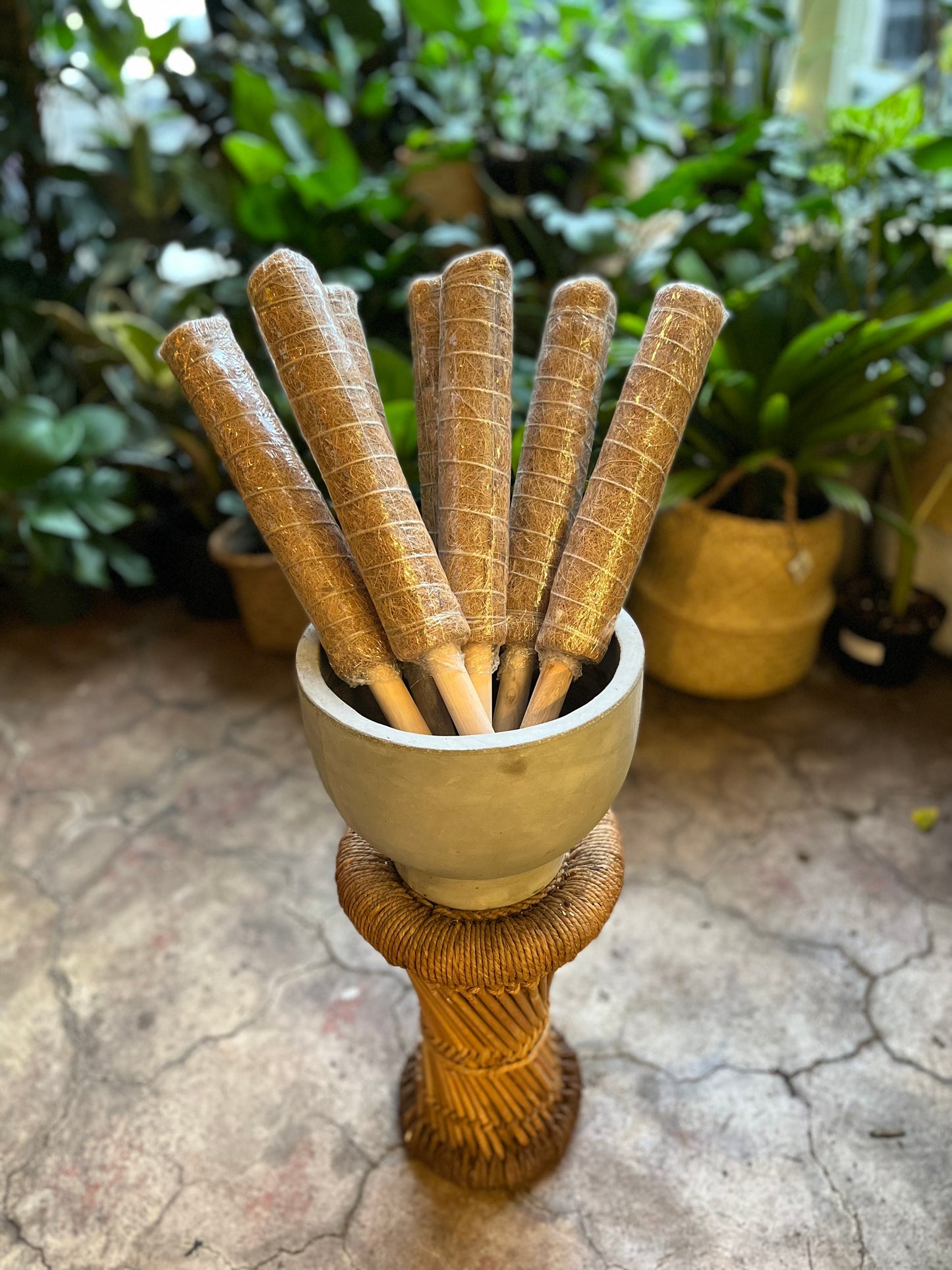 Coconut Coir Totem/Moss Pole